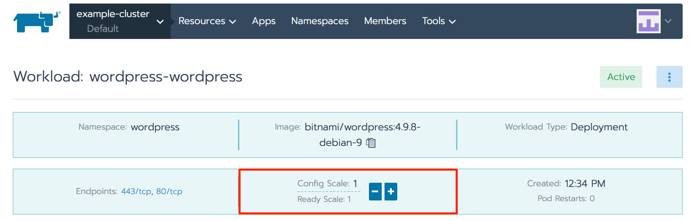 Rancher WordPress deployment detail view - config scale highlighted