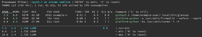 glances filtering processes based on command names matching filter