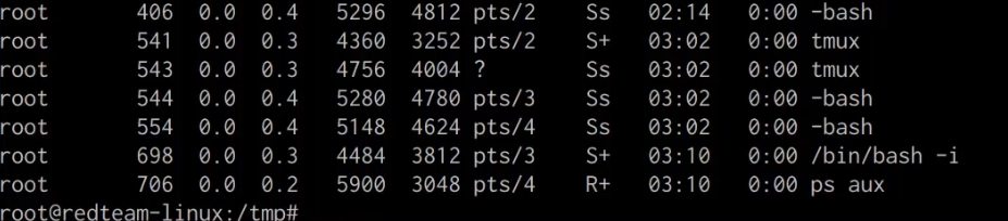 ps aux output with shell.py hidden