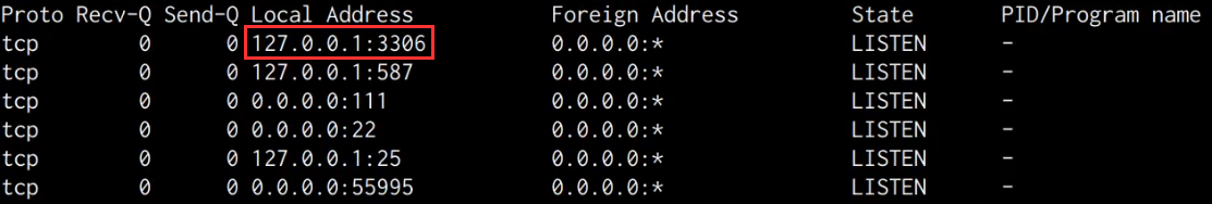 Raven VM netstat output