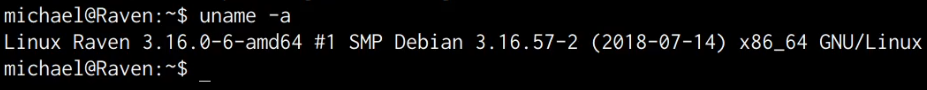 Raven VM uname output