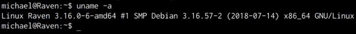 Raven VM uname output