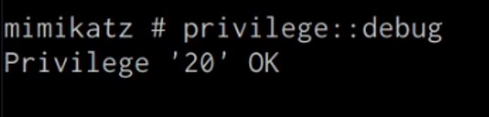 Mimikatz privilege::debug output